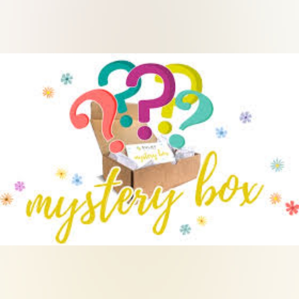 Mystery Fabfitfun/Prestige brands/ & More